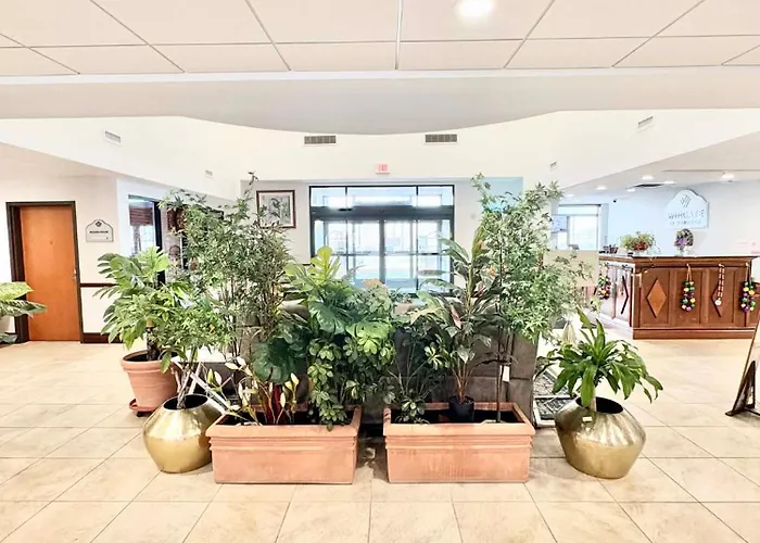 Wingate By Wyndham Houma Hotel