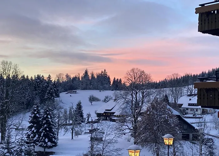 Boutique Hotel & Apartments Pension Sternen Todtmoos