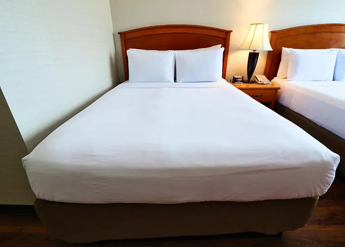 Continental Inn & Suites Edmonton