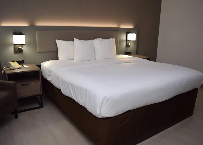 Comfort Inn & Suites Syracuse-Carrier Circle