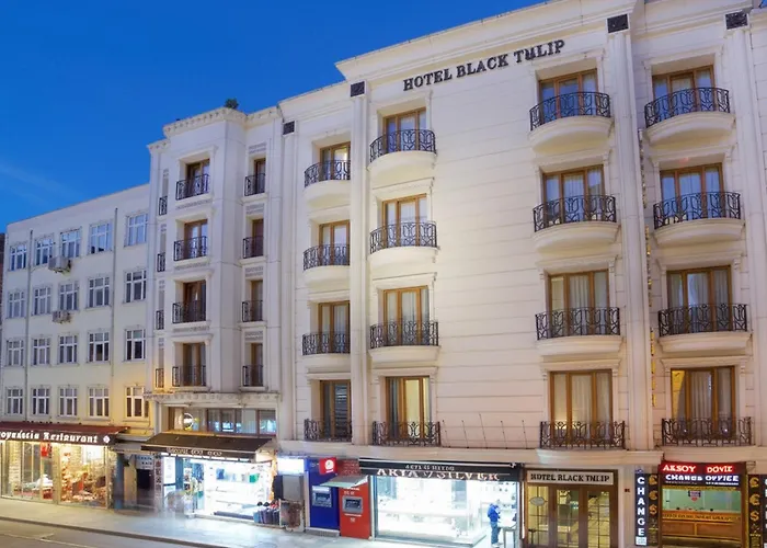 Hotel Black Tulip Istanboel