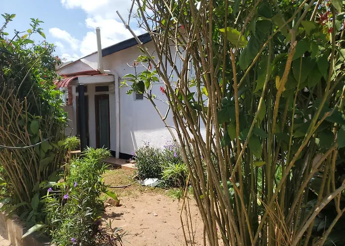 Gorilla African Guest House Entebbe