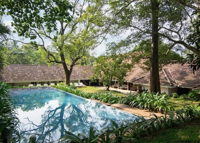 Ekho Sigiriya - 700 Meters To Sigiriya Rock Hotel