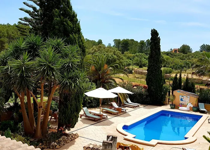 Finca Caballo Blanco Montuiri 