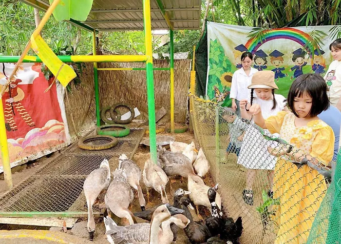 Hue Lotus Homestay