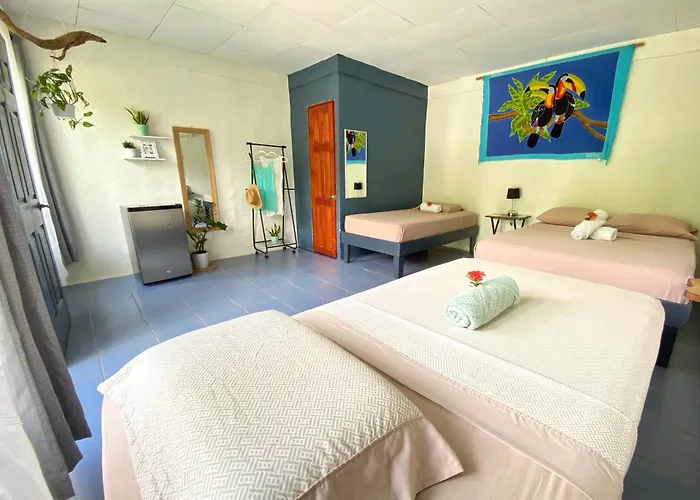 Rooms & Pool Macaws Uvita