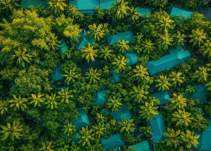 Palm Grove Eco Resort Port Blair