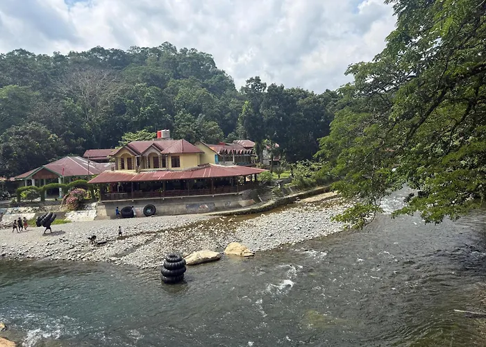 Jungle Life Guesthouse Trekking & Transport Book With Us Bukit Lawang