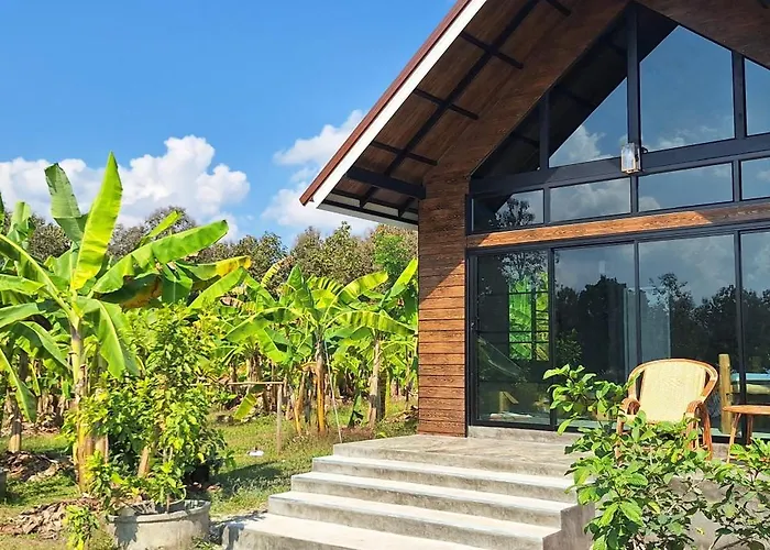 True Nature Chiang Mai - Yoga & Meditation Homestay Retreat