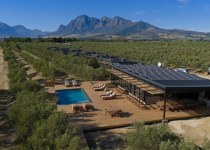 Olijvenkraal Winelands Lodge Paarl