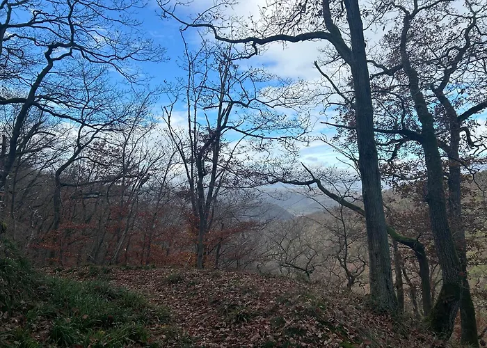 Hotel Burg Liebenstein Kamp-Bornhofen