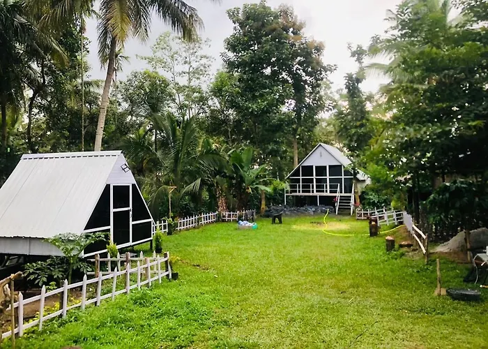 The Wildcamp - Coorg Hotel Kushalnagar