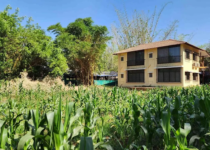 Saguna Baug Agro Tourism Neral