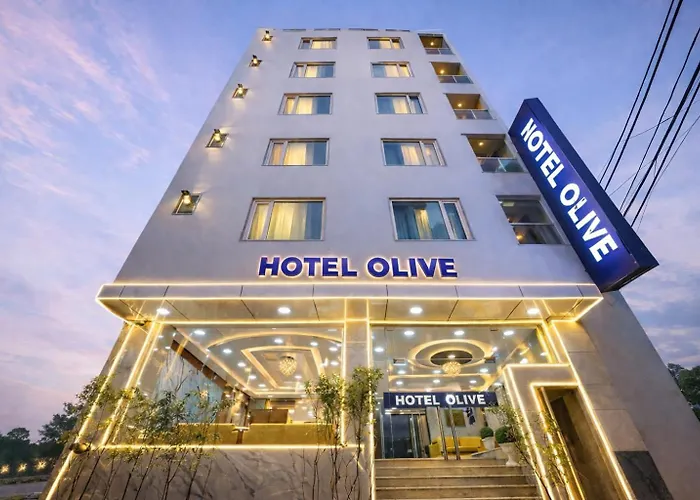 Hotel De Grand - Olive Aero Suites Near Delhi Airport By Avana Group New Delhi