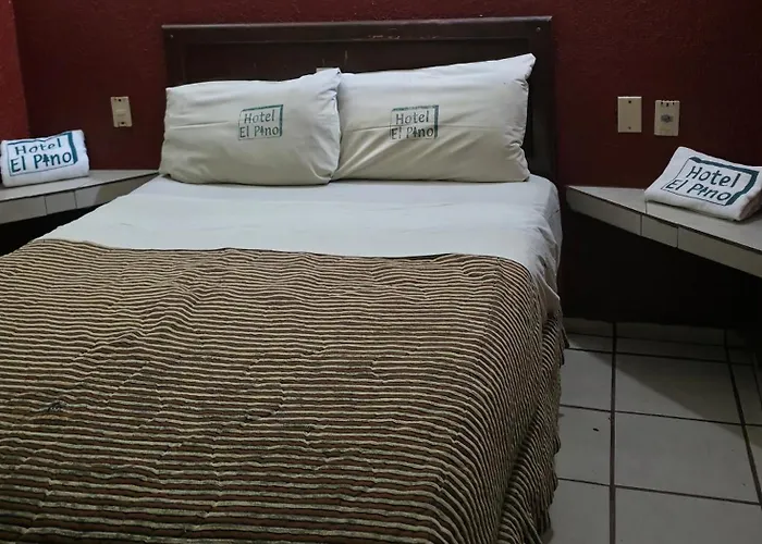 El Pino - Hotel Economico Guadalajara