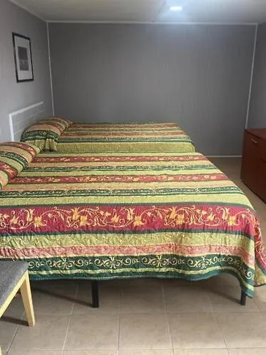 Star Motel Tampa
