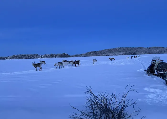 Inari Camping & Resort