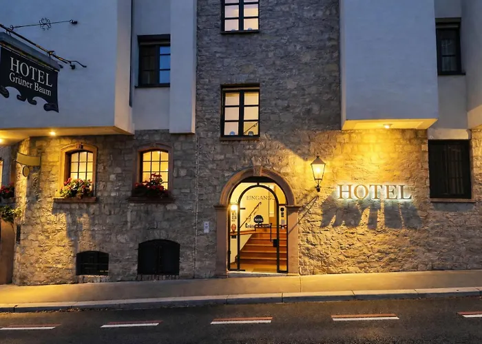 Hotel Gruener Baum Würzburg
