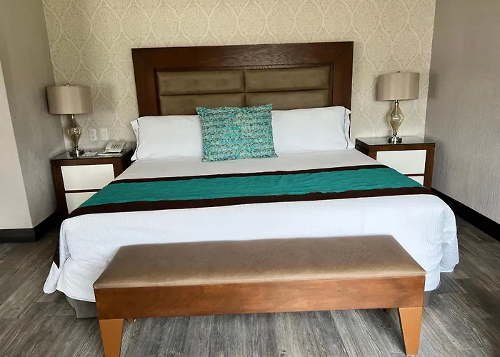Aurea Hotel And Suites Zapopan