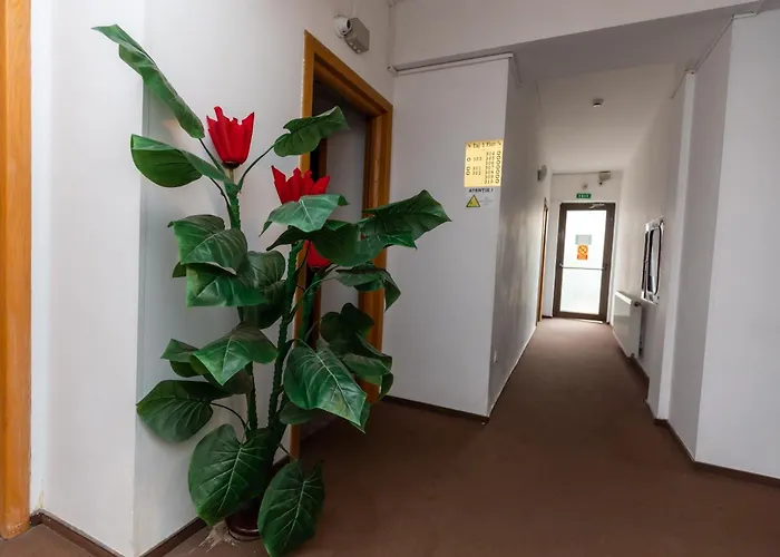 Hotel Sir Colentina Bükreş