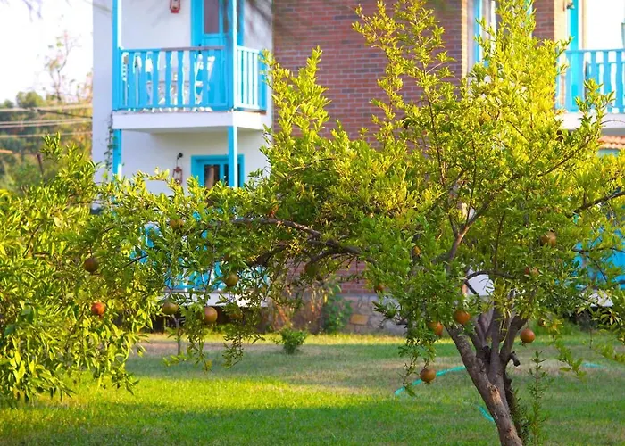 Yonca Lodge Fethiye