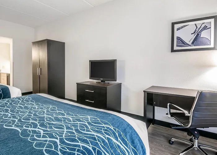 Comfort Inn Gainesville - University Area