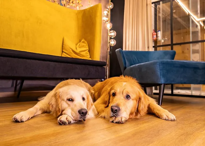 Hotel Magdalena im Zillertal - Urlaub mit Hund Ried im Zillertal