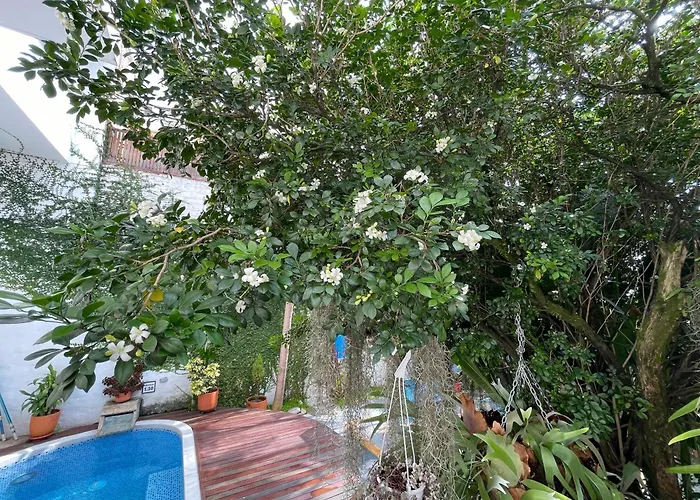 Casa Hotel Jardin Azul Cali