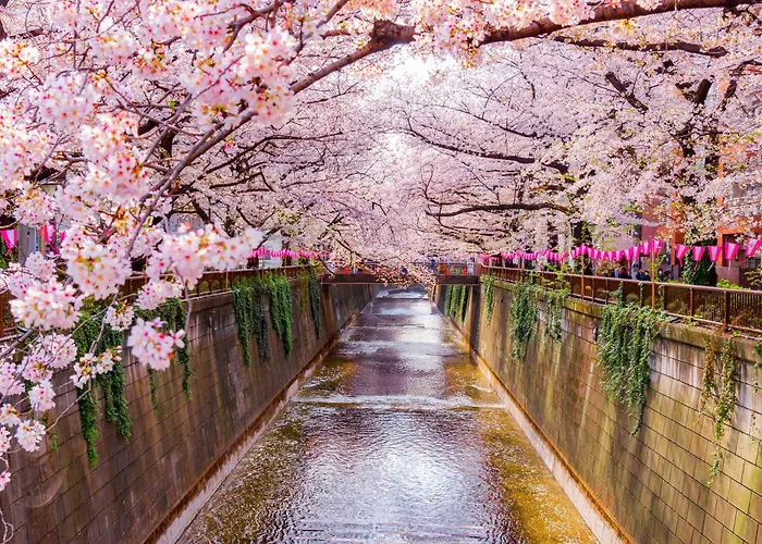 The Westin Tokyo Otel