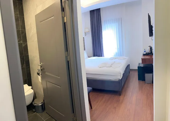 Violin Hotel Sultanahmet Istanboel