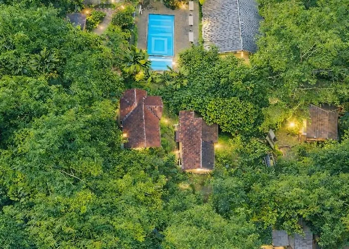 Le Eden Premium Wayanad Pool Resort Sultan Bathery