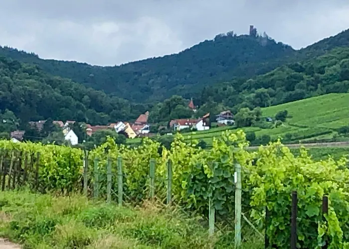 Gästehaus Susanne Pfaffmann Landau in der Pfalz