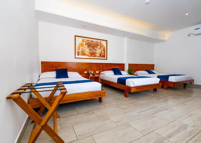Hotel Ninfa Puerto Ayora 
