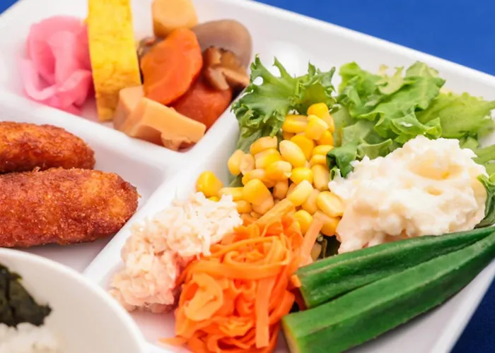 Toyoko Inn Kashiwa-Eki Higashi-Guchi