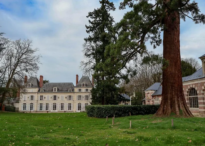 Château du Rondon Olivet 