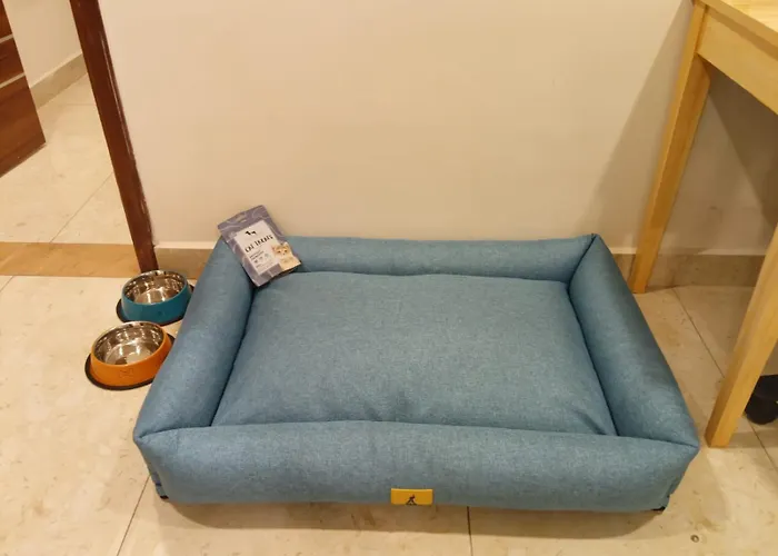Enkay Service Apartments Kondapur 