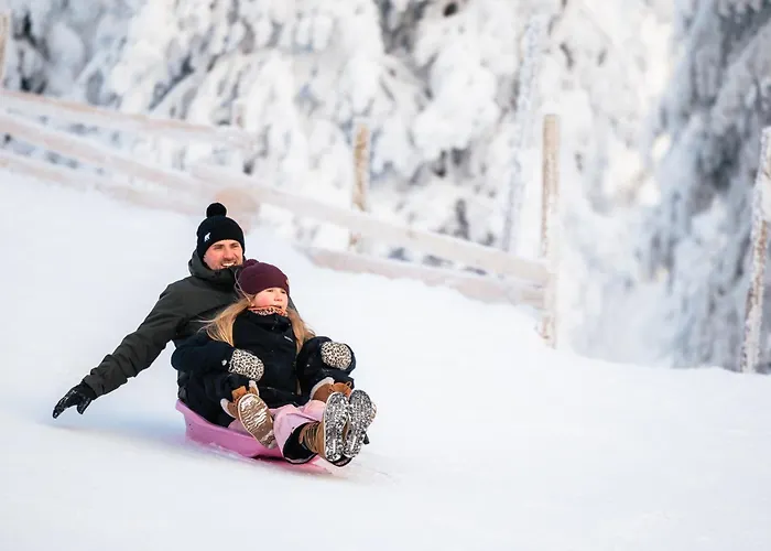 Lapland Winter Park Chalets Rovaniemi