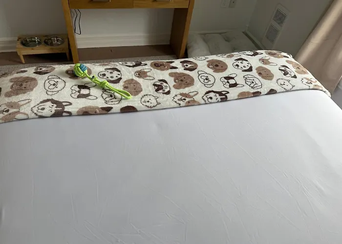 Fundy Footprints Bed & Breakfast St. Martins
