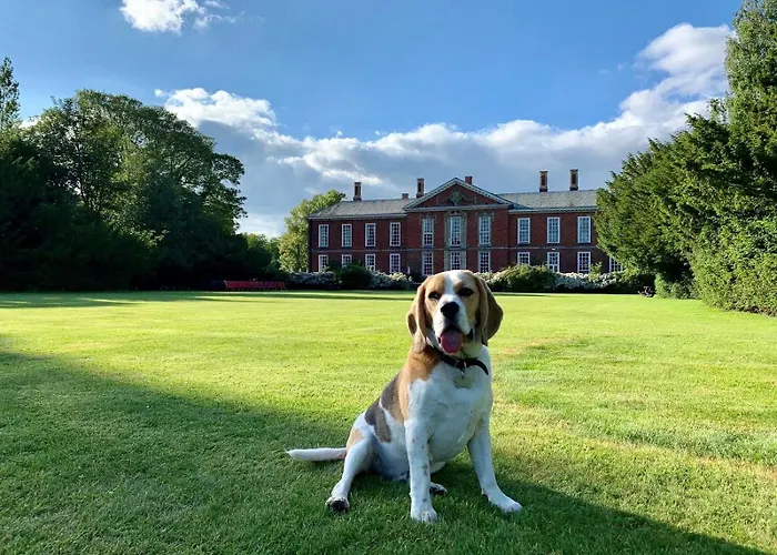 Bosworth Hall Hotel & Spa Market Bosworth