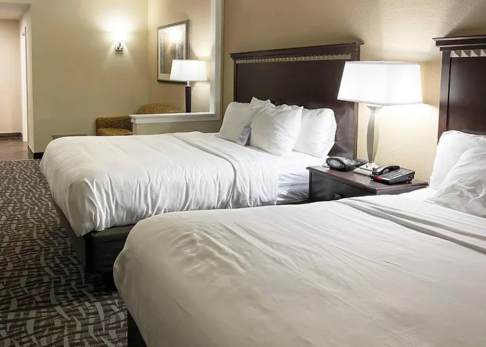 Comfort Suites Kings Bay Naval Base Area Kingsland