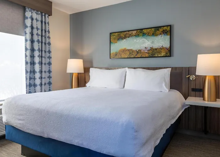 Hilton Garden Inn Auburn Riverwatch