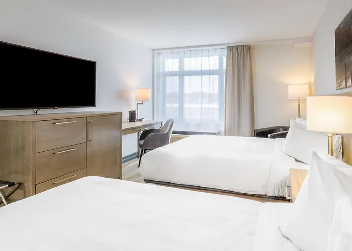 Repotel Levis