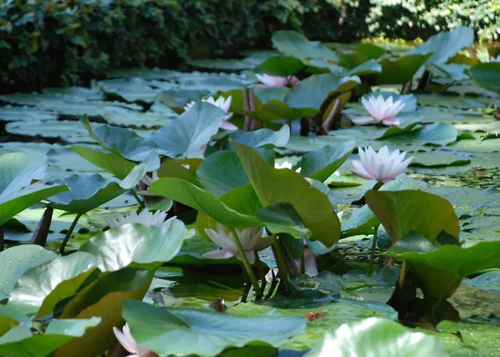 Villa Della Pergola Relais Et Chateaux Alassio