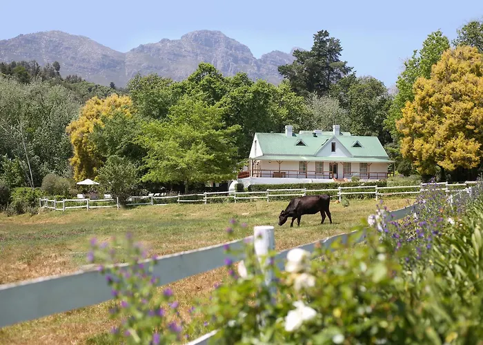 Knorhoek Country Guesthouse Stellenbosch