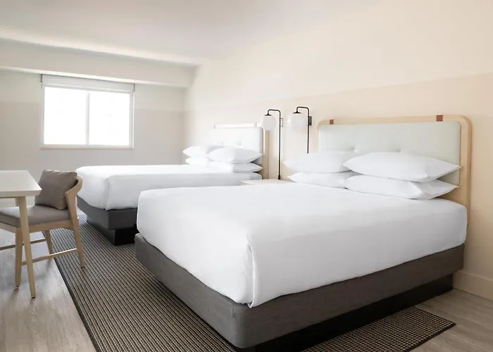 Hampton By Hilton Grand Cayman Seven Mile Beach George Town