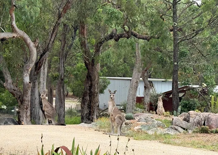 31 The Rocks Bed & Breakfast Stanthorpe