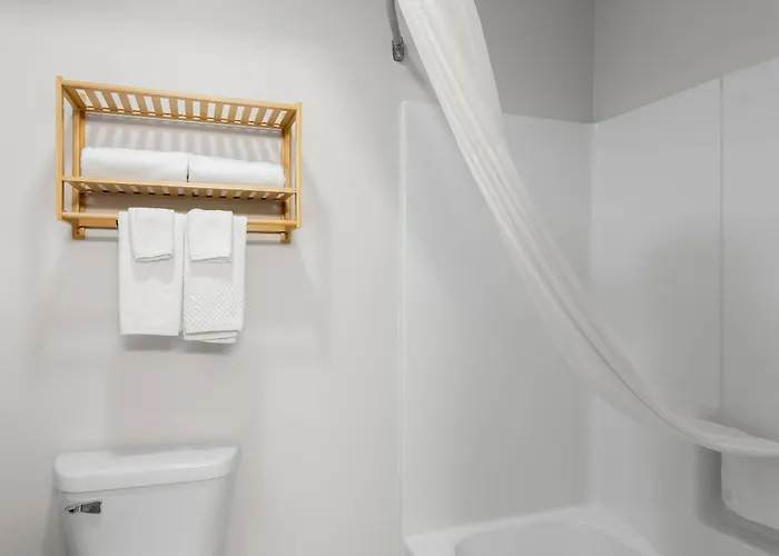 Quality Inn & Suites Niles