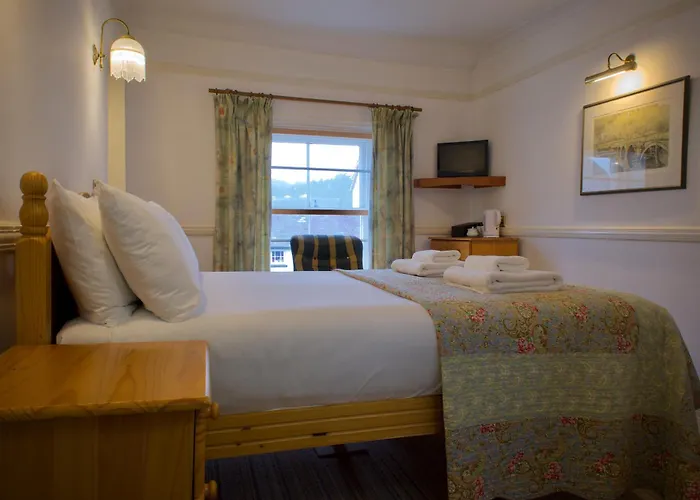 The Wynnstay Machynlleth