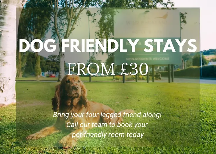 Wild Pheasant Hotel & Spa Llangollen