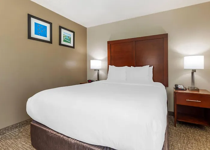 Comfort Inn & Suites Temple - Medical Center
